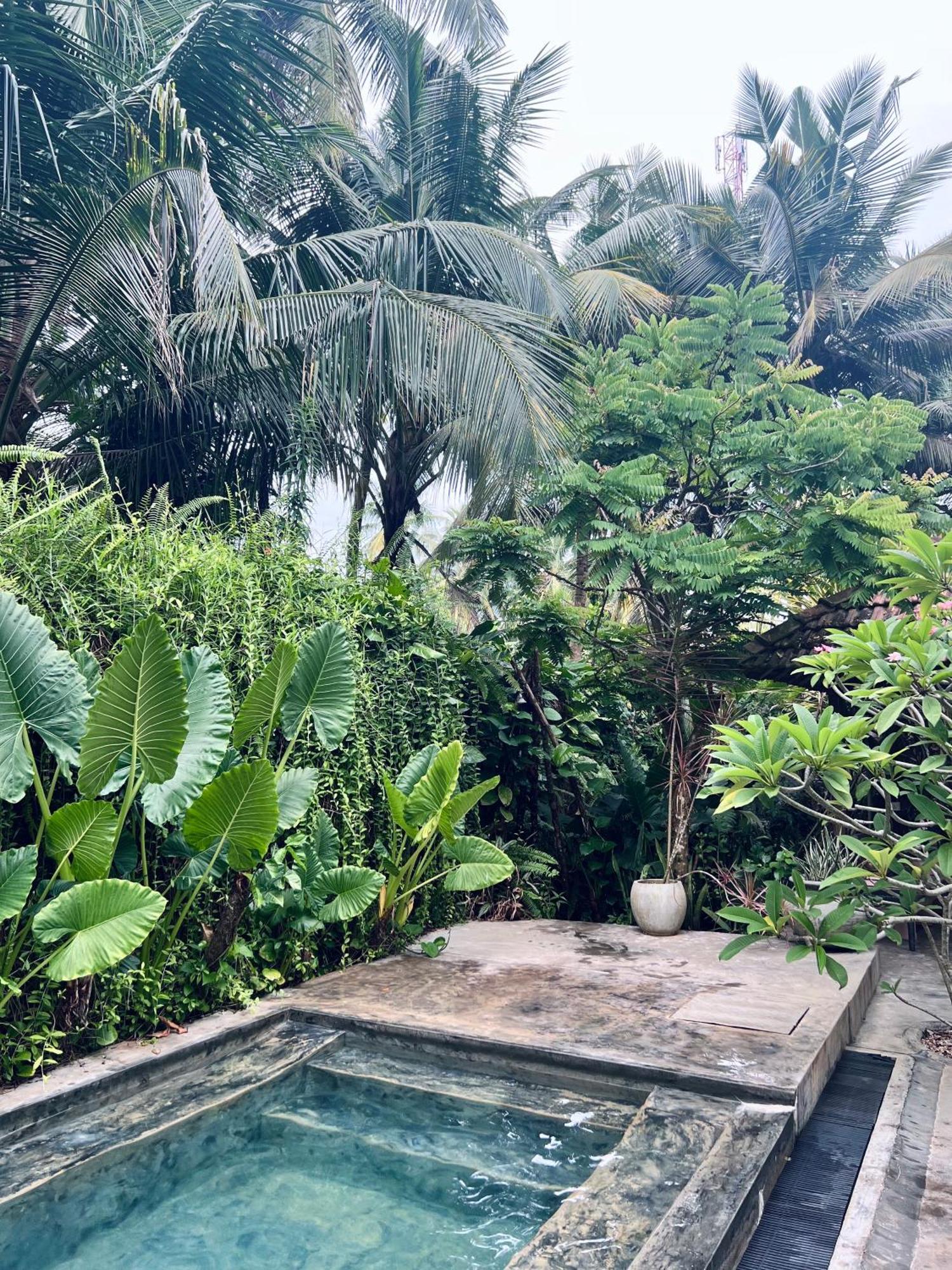 Hotel Dreamtime Hikkaduwa Exterior foto