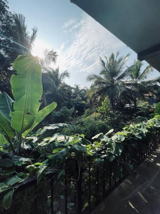 Hotel Dreamtime Hikkaduwa Exterior foto
